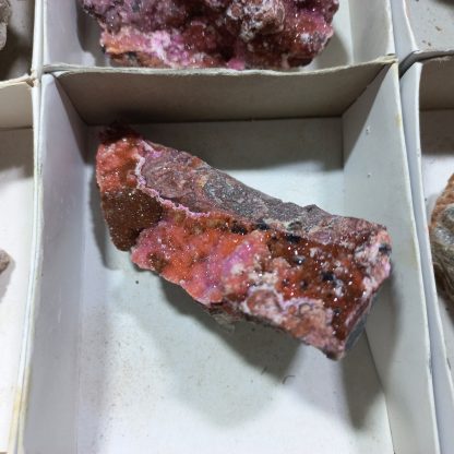 (WM04164) One Box Of  6 Colbaltion Calcite Mineral Specimens from Congo Rachel Linderman - Image 5