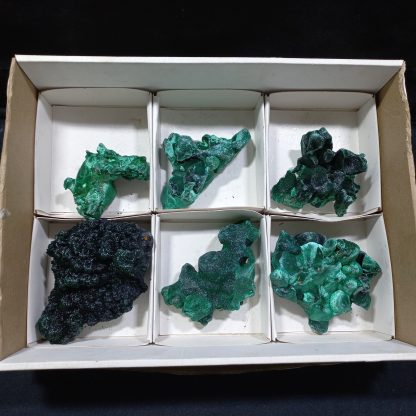 (WM04169) One Box Of 6 Silky Malachite Minerals Specimens From Congo Brandi Parks - Image 2
