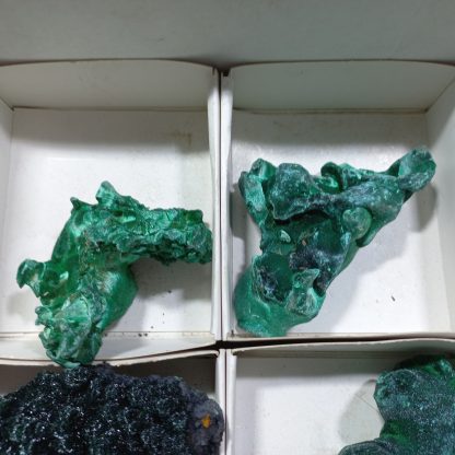 (WM04169) One Box Of 6 Silky Malachite Minerals Specimens From Congo Brandi Parks - Image 3