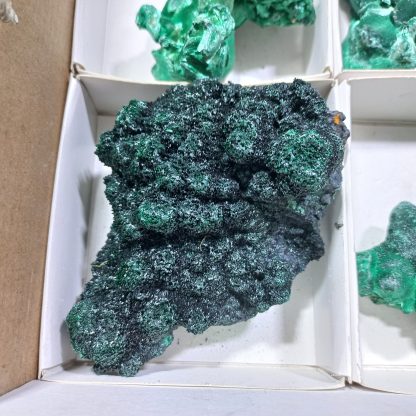 (WM04169) One Box Of 6 Silky Malachite Minerals Specimens From Congo Brandi Parks - Image 4