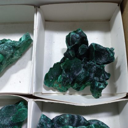(WM04169) One Box Of 6 Silky Malachite Minerals Specimens From Congo Brandi Parks - Image 5