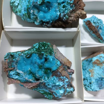 (WM04179) One Box Of 18 Druzzy Quartz On Chrysocolla Mineral Specimens From Congo Vance Hewitt - Image 4