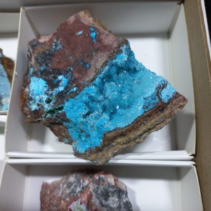 (WM04179) One Box Of 18 Druzzy Quartz On Chrysocolla Mineral Specimens From Congo Vance Hewitt - Image 9