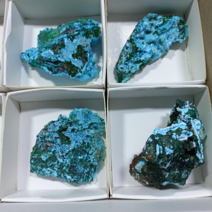 (WM04177) One Box Of 24 Druzzy Quartz On Chrysocolla  Mineral Specimens From Congo Rachel Linderman - Image 8