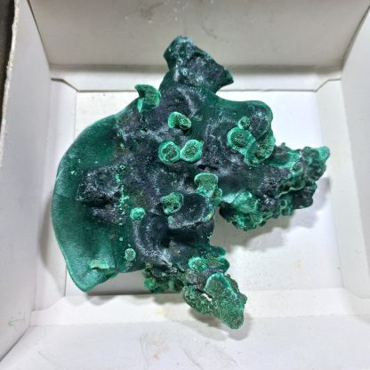(WM04183) One Box Of 6 Silky Malachite Minerals Specimens From Congo  Rachel Linderman - Image 4