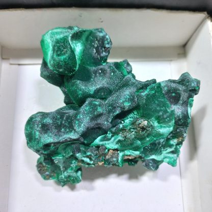 (WM04183) One Box Of 6 Silky Malachite Minerals Specimens From Congo  Rachel Linderman - Image 5