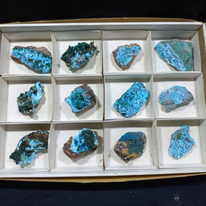 (WM04182) One Box Of 12 Druzzy Quartz on Chrysocolla Mineral Specimens From Congo  Vance Hewitt - Image 2