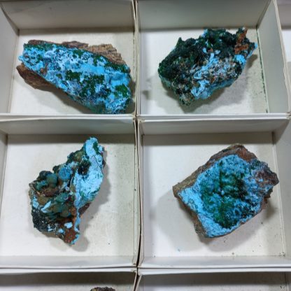 (WM04182) One Box Of 12 Druzzy Quartz on Chrysocolla Mineral Specimens From Congo  Vance Hewitt - Image 3