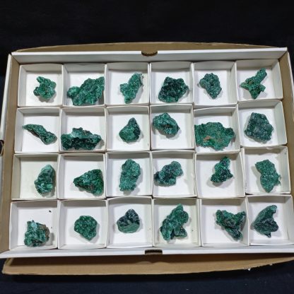 (WM04196) One Box Of 24 Malachite Minerals Specimens From Congo  Vikki Stelfox