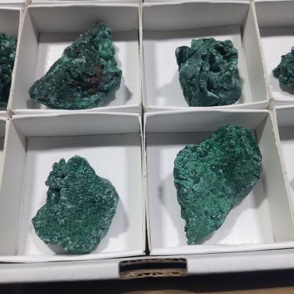(WM04206) One Box Of 24 Malachite Mineral Specimens From Congo Garrett Russiell - Image 5