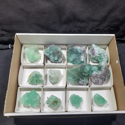 (WM04295) One Box Of 12 Fluorite Mineral Specimens From Riemvasmaak (Michelle Blume) - Image 2