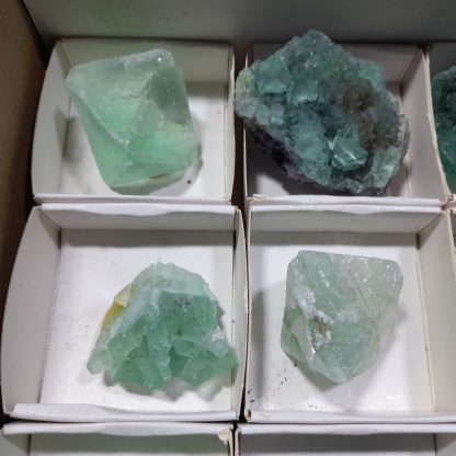 (WM04295) One Box Of 12 Fluorite Mineral Specimens From Riemvasmaak (Michelle Blume) - Image 3