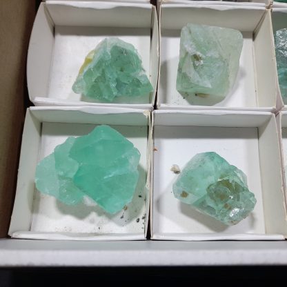 (WM04295) One Box Of 12 Fluorite Mineral Specimens From Riemvasmaak (Michelle Blume) - Image 4