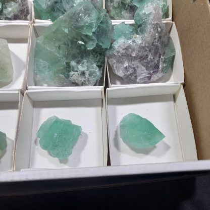 (WM04295) One Box Of 12 Fluorite Mineral Specimens From Riemvasmaak (Michelle Blume) - Image 5