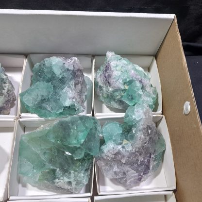 (WM04295) One Box Of 12 Fluorite Mineral Specimens From Riemvasmaak (Michelle Blume) - Image 6
