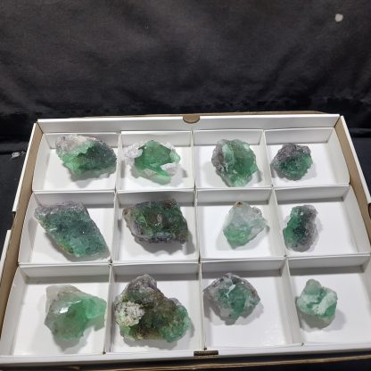 (WM04302) One Box Of 12 Fluorite Mineral Specimens From Riemvasmaak  Lukaz Niedzielski - Image 2