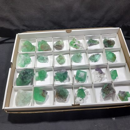 (WM04301) One Box Of 24 Fluorite Mineral Specimens From Riemvasmaak - Image 2