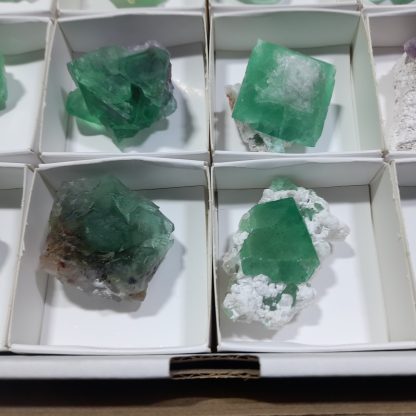 (WM04301) One Box Of 24 Fluorite Mineral Specimens From Riemvasmaak - Image 5