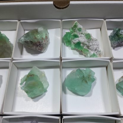 (WM04301) One Box Of 24 Fluorite Mineral Specimens From Riemvasmaak - Image 6