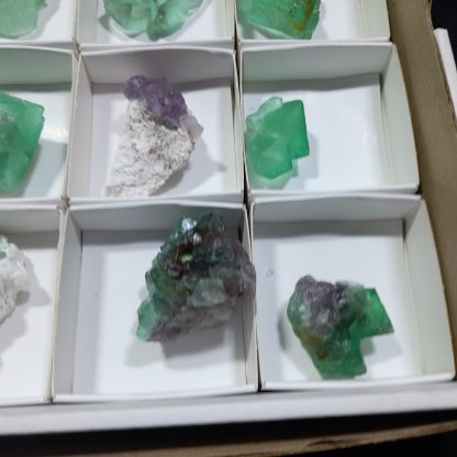 (WM04301) One Box Of 24 Fluorite Mineral Specimens From Riemvasmaak - Image 8