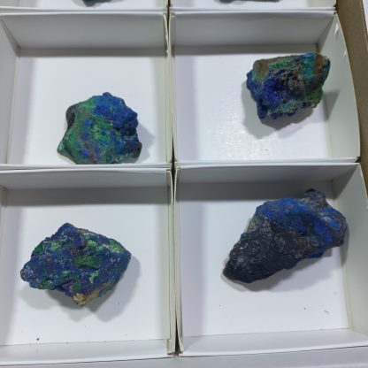 (WM04311) One Box Of 12 Azurite Mineral Specimens From Congo (Michelle Blume) - Image 5