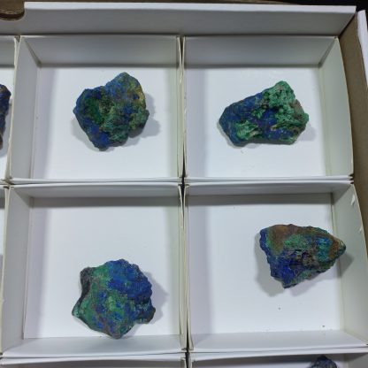 (WM04311) One Box Of 12 Azurite Mineral Specimens From Congo (Michelle Blume) - Image 6