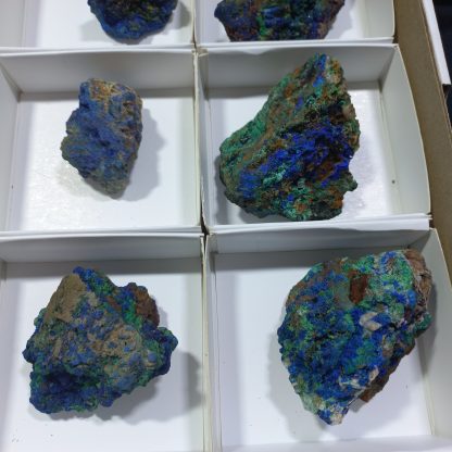 (WM04315) One Box Of 35 Azurite Mineral Specimens From Congo (Vance H) - Image 5