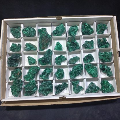 (WM04330) One Box Of 35  Silky Malachite Mineral Specimens From Congo  Stace Chapan Boyd - Image 2