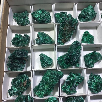 (WM04330) One Box Of 35  Silky Malachite Mineral Specimens From Congo  Stace Chapan Boyd - Image 3