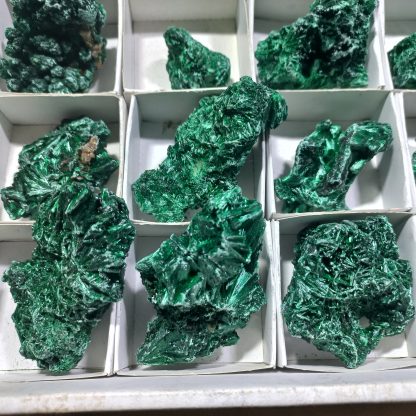 (WM04330) One Box Of 35  Silky Malachite Mineral Specimens From Congo  Stace Chapan Boyd - Image 4