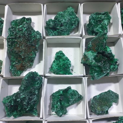 (WM04330) One Box Of 35  Silky Malachite Mineral Specimens From Congo  Stace Chapan Boyd - Image 5