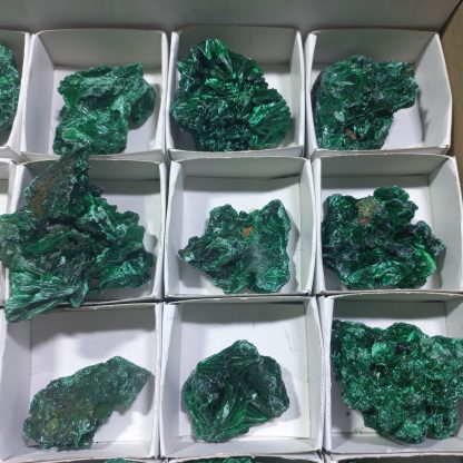 (WM04330) One Box Of 35  Silky Malachite Mineral Specimens From Congo  Stace Chapan Boyd - Image 7