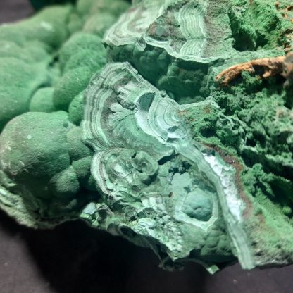 (LGM0175) Large Botryoidal Malachite Mineral Specimen From Congo Pie Darkstone - Image 13