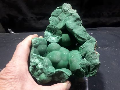 (LGM094) Large Botryoidal Malachite Mineral Specimen From The DRC Congrats on your TSI Daniele Billings