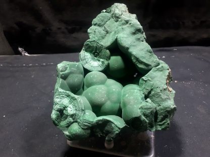 (LGM094) Large Botryoidal Malachite Mineral Specimen From The DRC Congrats on your TSI Daniele Billings - Image 6