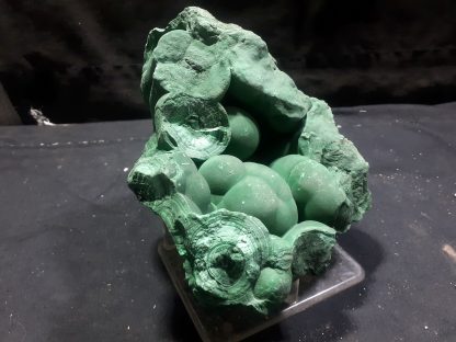 (LGM094) Large Botryoidal Malachite Mineral Specimen From The DRC Congrats on your TSI Daniele Billings - Image 5