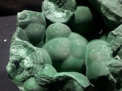 (LGM094) Large Botryoidal Malachite Mineral Specimen From The DRC Congrats on your TSI Daniele Billings - Image 3