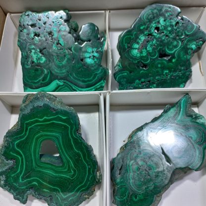 (WM04414) One Box Of 12 Banded Polished Malachite Slices From Congo    Keith Patton - Image 3