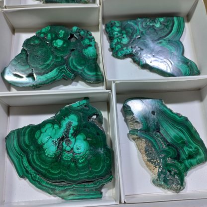 (WM04414) One Box Of 12 Banded Polished Malachite Slices From Congo    Keith Patton - Image 5