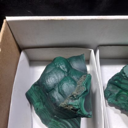 (WM04446) One Box Of 6 Botryoidal Malachite Mineral Specimens From Congo - Image 3