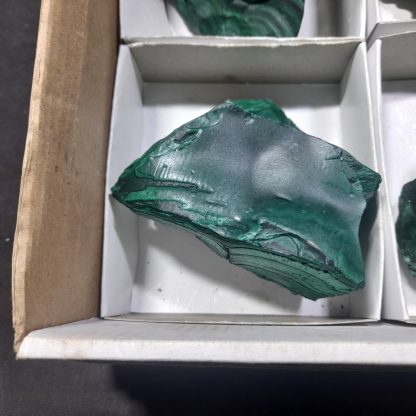 (WM04446) One Box Of 6 Botryoidal Malachite Mineral Specimens From Congo - Image 4