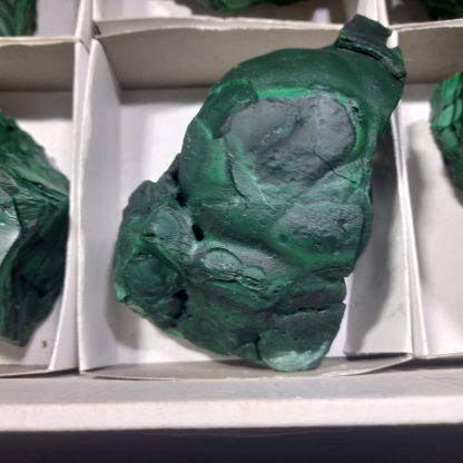 (WM04446) One Box Of 6 Botryoidal Malachite Mineral Specimens From Congo - Image 5