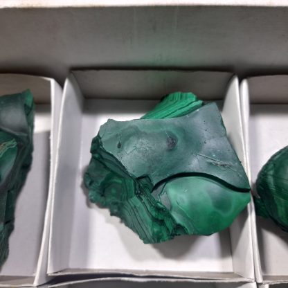 (WM04446) One Box Of 6 Botryoidal Malachite Mineral Specimens From Congo - Image 6