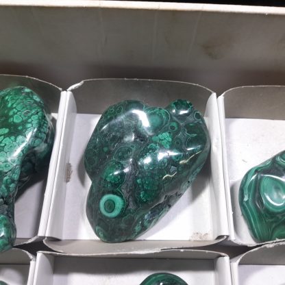 (WM04454) One Box Of 6 Hand Polished Malachite Mineral Specimens From Congo - Image 6