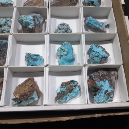 (WM04465) One Box Of 35 Chrysocolla Pseudomorph Mineral Specimens From Congo    Amy Sauls - Image 8