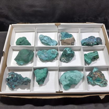 (WM04497) One Box Of 12 Botryoidal Malachite Minerals From Congo    Rachel Linderman