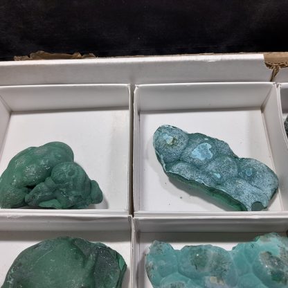 (WM04497) One Box Of 12 Botryoidal Malachite Minerals From Congo    Rachel Linderman - Image 3