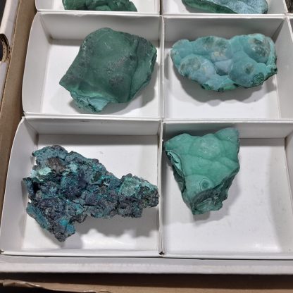 (WM04497) One Box Of 12 Botryoidal Malachite Minerals From Congo    Rachel Linderman - Image 4