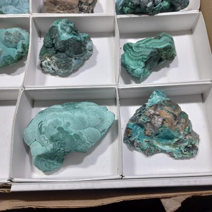 (WM04497) One Box Of 12 Botryoidal Malachite Minerals From Congo    Rachel Linderman - Image 5