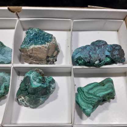 (WM04497) One Box Of 12 Botryoidal Malachite Minerals From Congo    Rachel Linderman - Image 6
